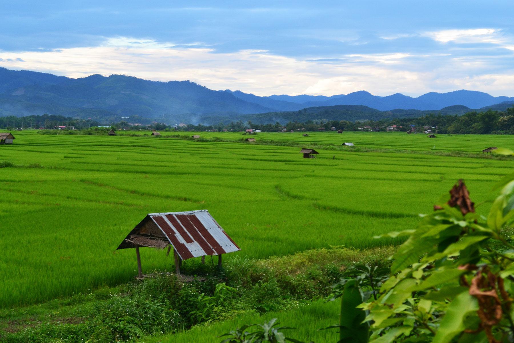 Experience Luang Namtha’s safe sites with guided tours